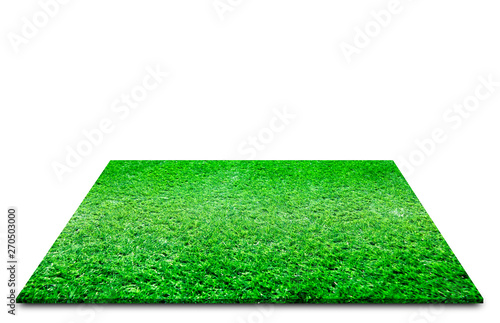 grass photo