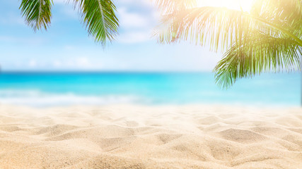 Sunny tropical Caribbean beach with palm trees and turquoise water, island vacation, hot summer day