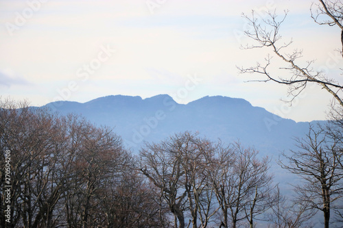 Mountain and trees