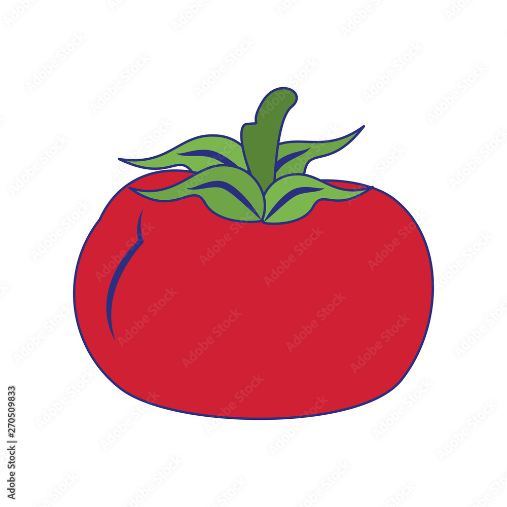 Tomato vegetable healthy food cartoon blue lines Tomato vegetable healthy food cartoon blue lines