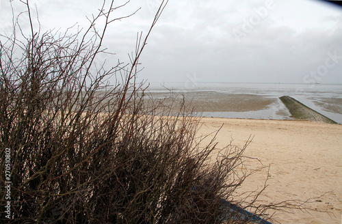 Dune protection in Cuxhaven, Lower Saxony, Germany, Europe photo