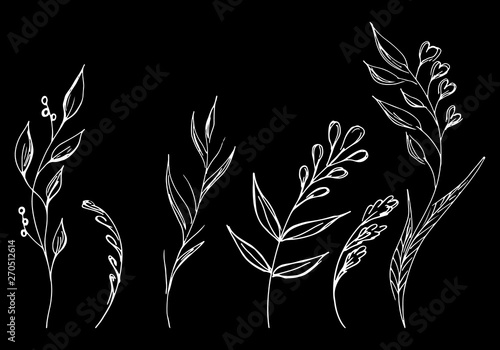 Flowers and branches hand drawn collection isolated on black background. Floral graphic elements. Big vector set. Simple style collection