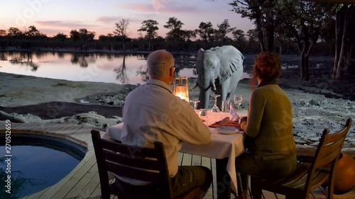 4K close-up view of tourists sitting at the dinner table at sunset on the outside deck watching an elephant close by in front of Khwai Private Reserve, Botswana photo