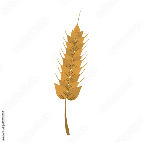wheat vegetable healthy food cartoon