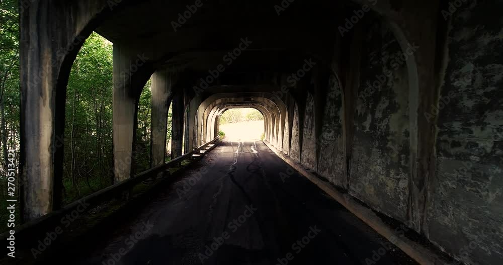 POV walking towards the light through a abandoned half underpass/tunnel with a view of a forest and Norwegian landscape outside