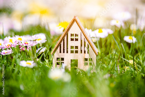 The symbol of the house stands among white daisies 