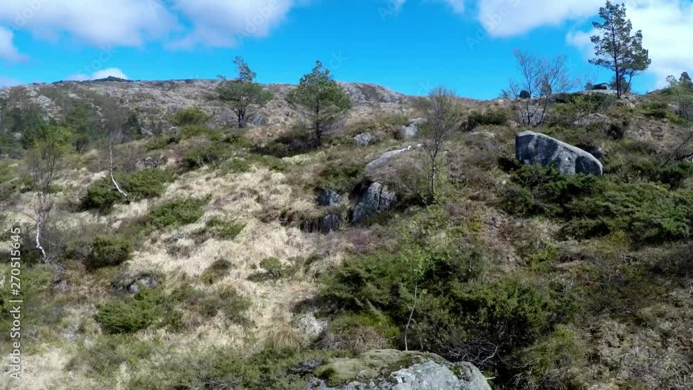 Drone flight, starting low flight then going over pine trees and revealing a beautiful mountain lake. Landscape and mountain footage Drone flight, starting low flight then going over pine trees and revealing a beautiful mountain lake. Landscape and mountain footage