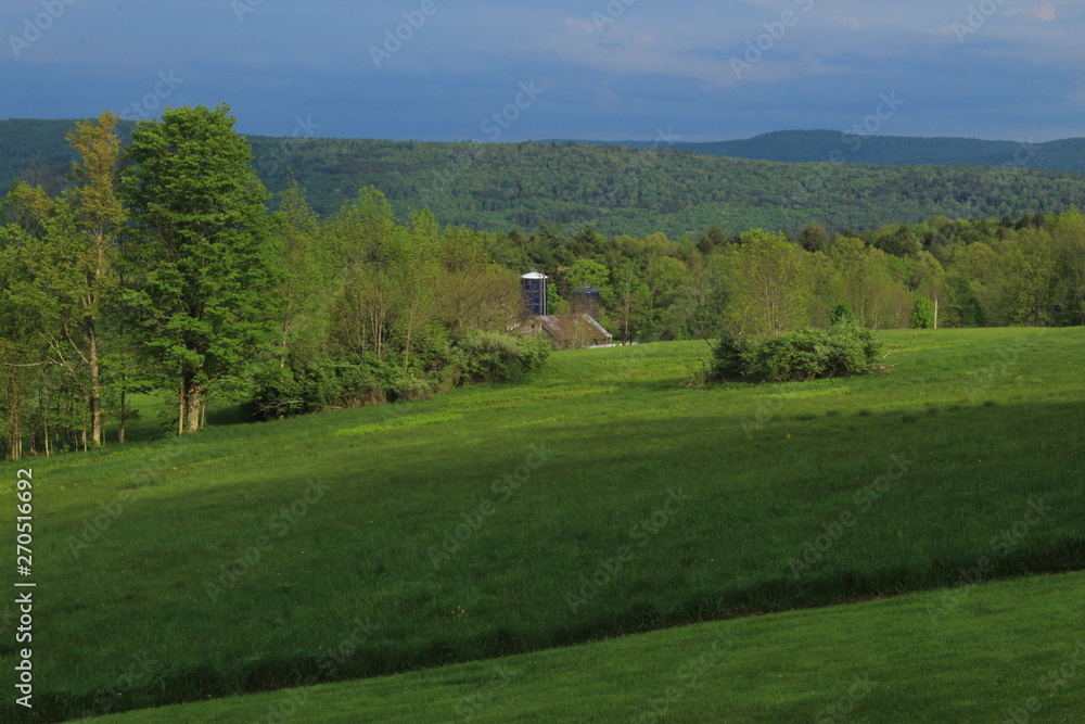 Meadows and Hills in Upstate New York