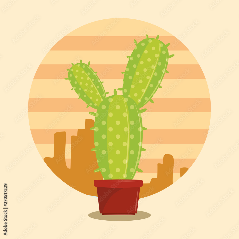Cactus succulent pot on desertscape Cactus succulent pot on desertscape