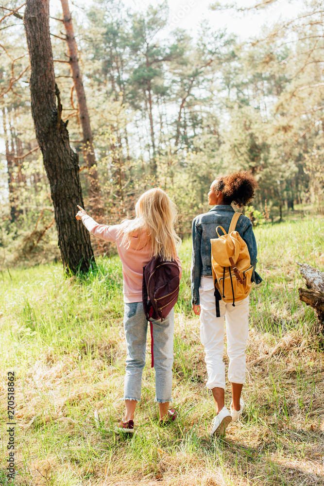 back view of two multiethnic friends with backpacks walking in forest