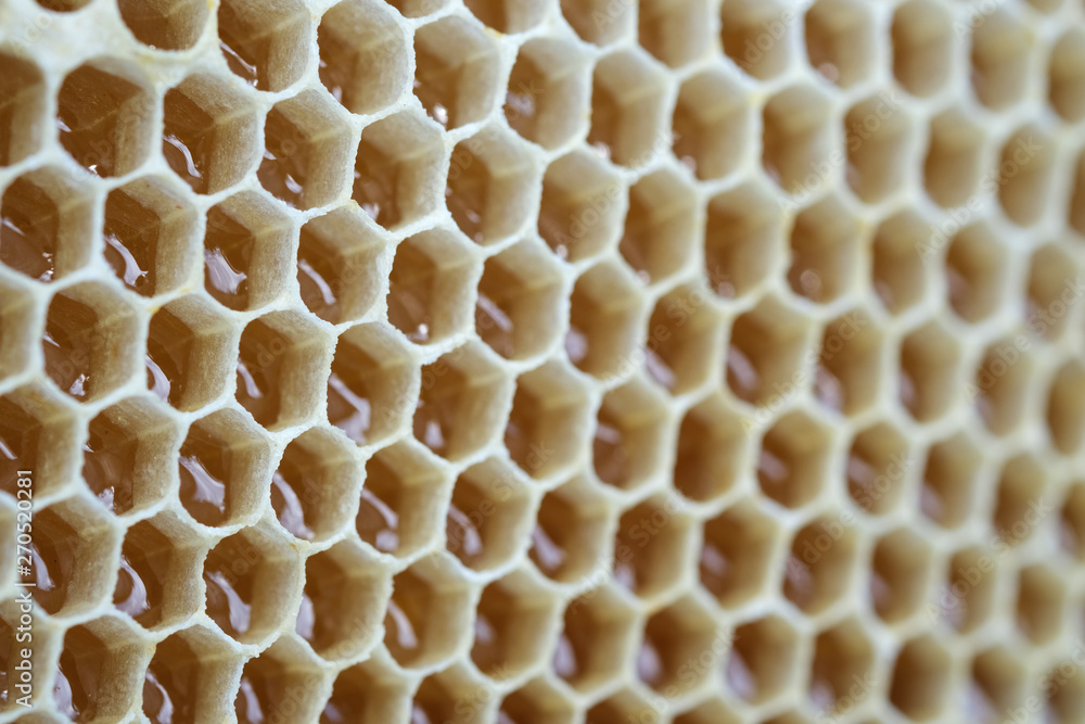 Filled honeycomb as background. Fresh honey. Healthy natural sweetener.