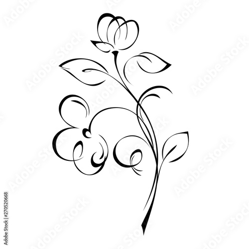 stylized flower with Bud on stem with leaves and curls in black lines on white background