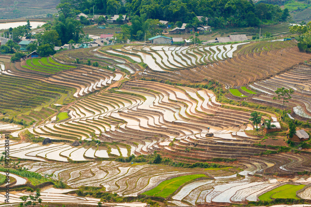 Image of great rice terraces in Y Ty, Lao Cai, Vietnam in watering season (from May to June every year)