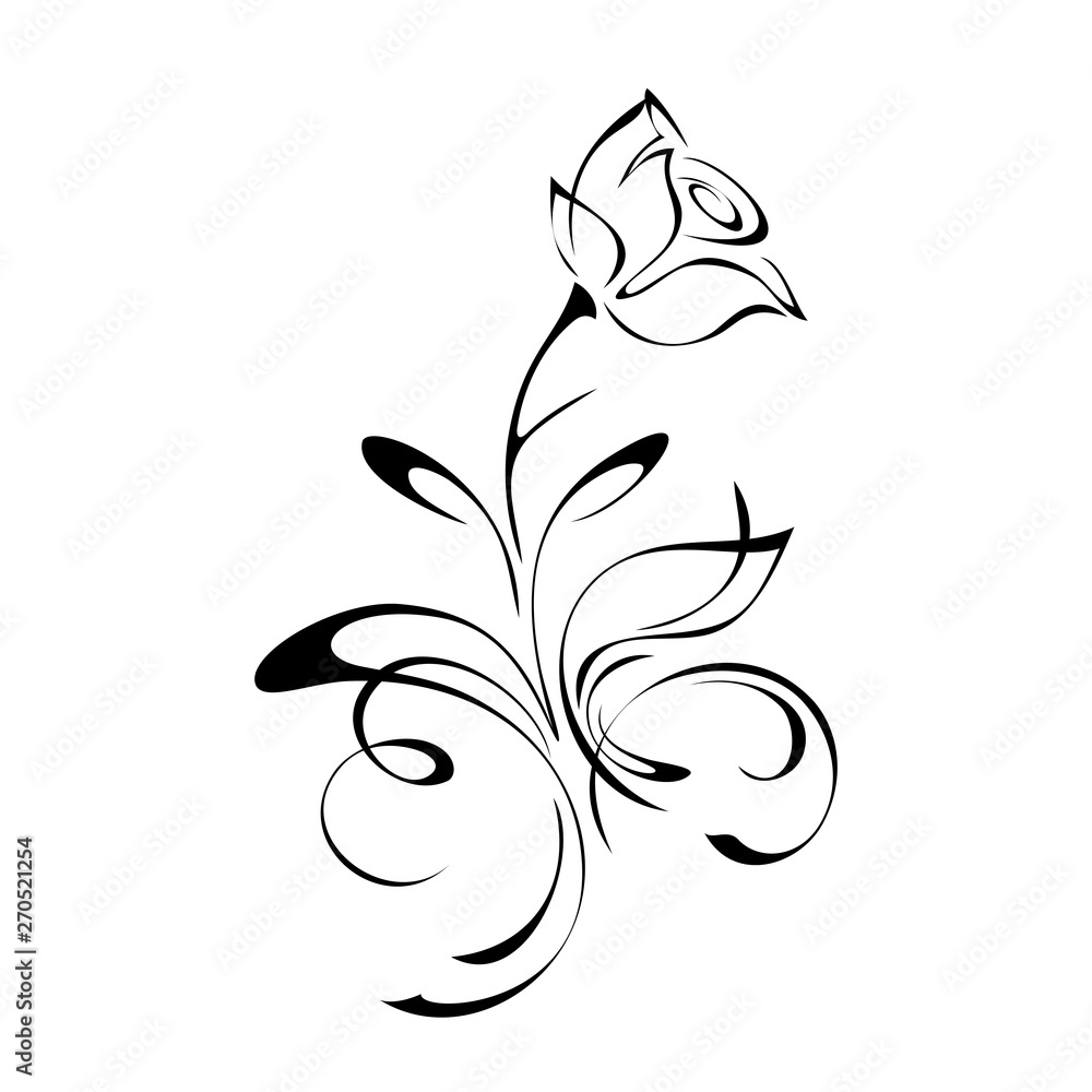 one rosebud on a stem with curls in black lines on a white background one rosebud on a stem with curls in black lines on a white background