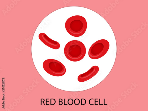 Red blood cells vector
