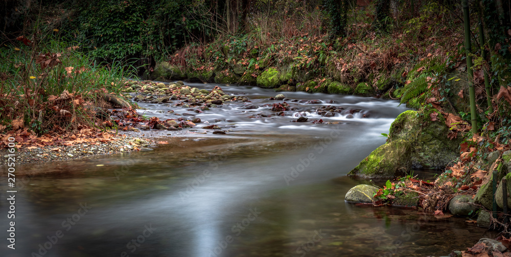 Obraz premium river nature curve