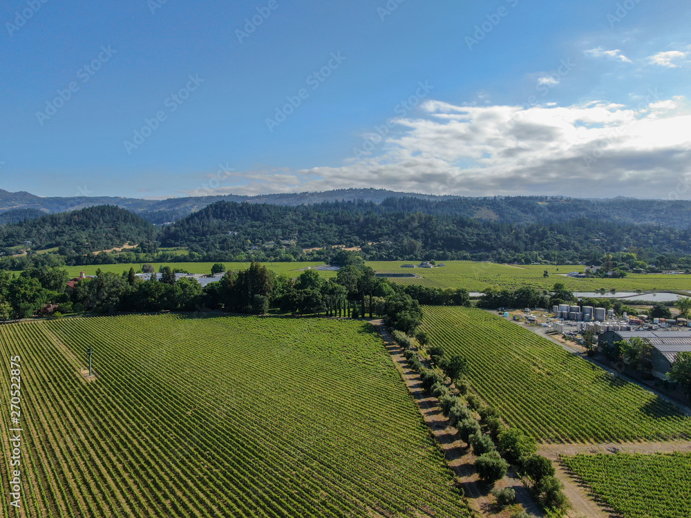 Aerial view of wine vineyard in Napa Valley during summer season. Napa County, in California's Wine Country, part of the North Bay region of the San Francisco Bay Area. Vineyards landscape.