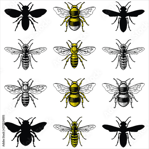 Small Print Illustrations of Honey Bee, Wasp and Bumblebee