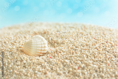 貝殻 サンゴ砂 