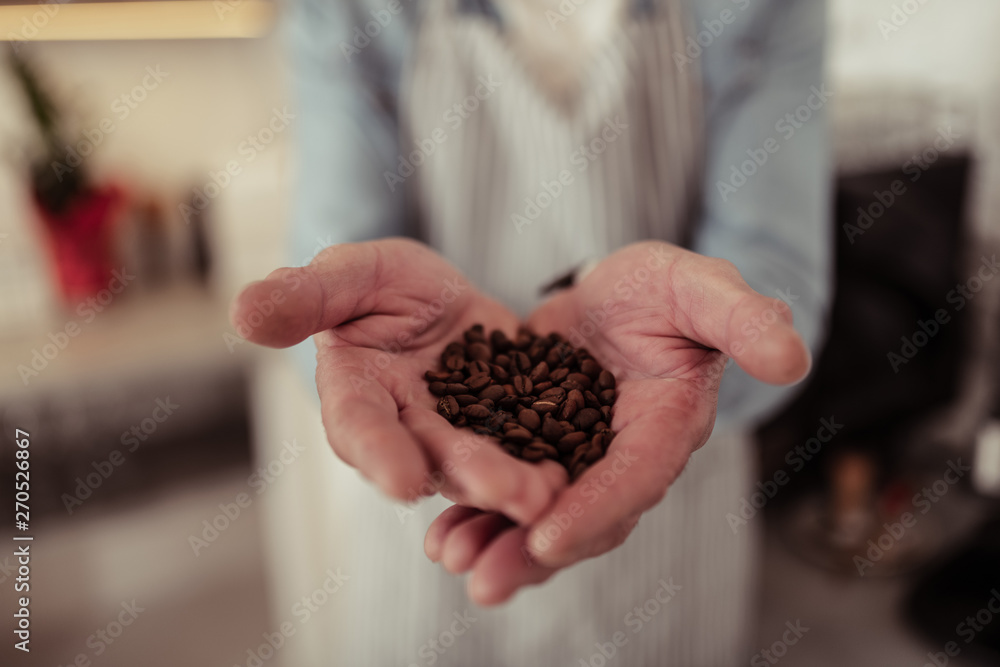High-quality coffee beans in hands of a barista. High-quality coffee beans in hands of a barista.