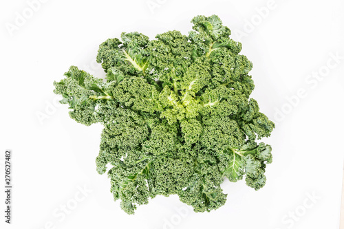 Green kale isolated.