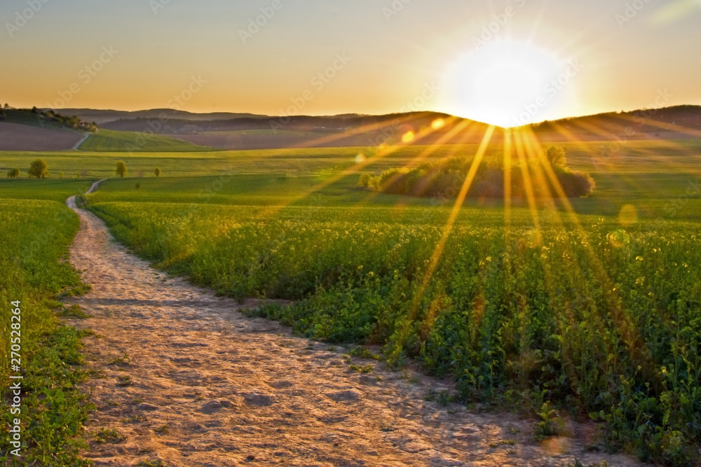 Fotografie Path through South Moravia