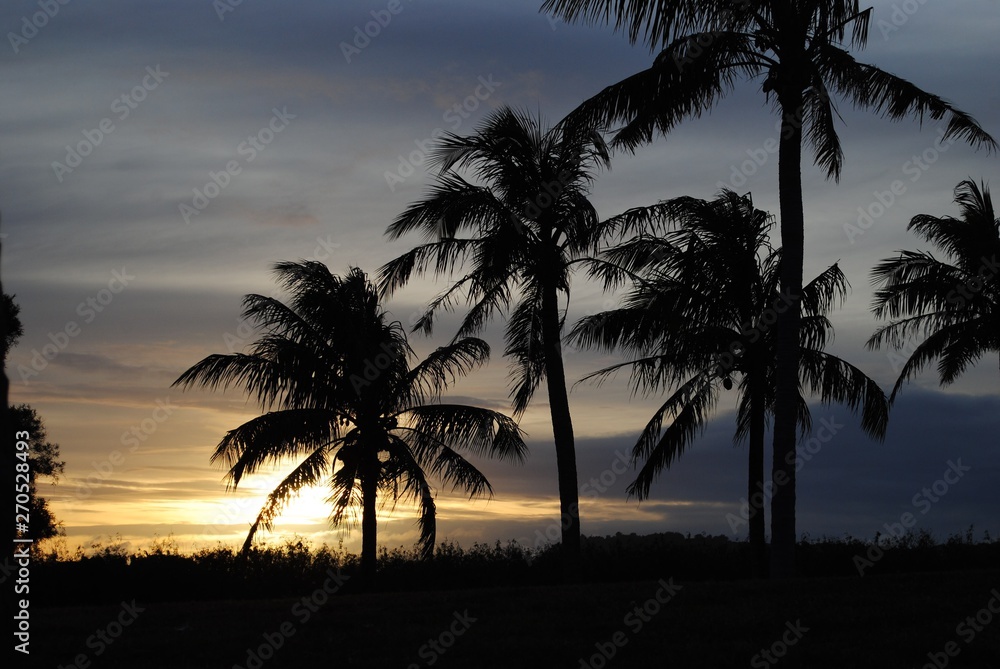 Tropical beauty of coconut trees at sunset reflected in the beach in the distance