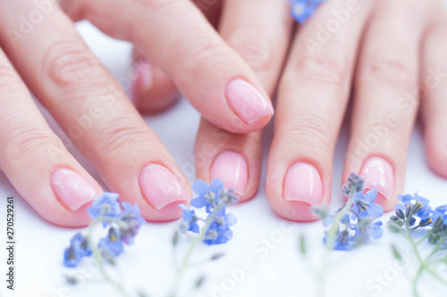 beautiful soft hands of a woman and forget me nots flowers skincare