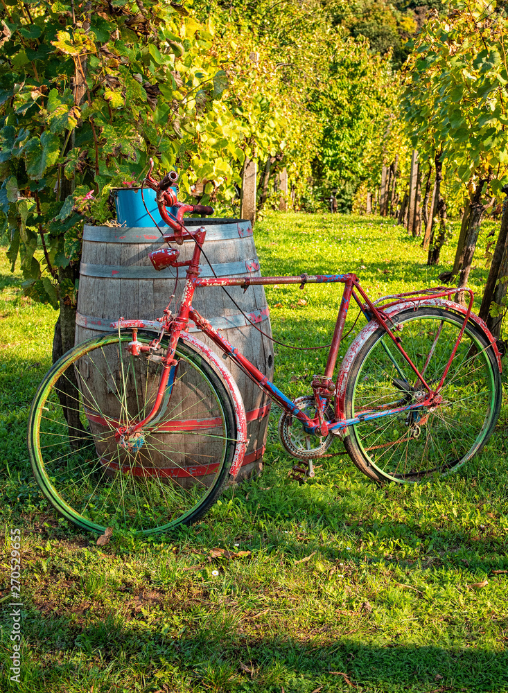 Bike at the vineyard