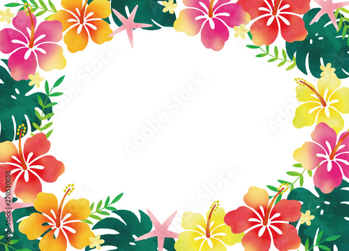 ハイビスカスの囲い