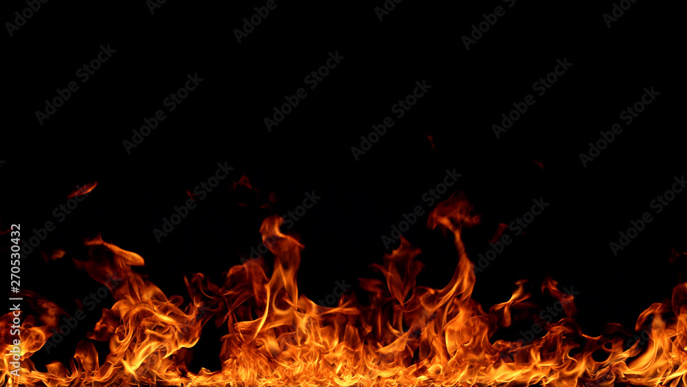 Fire flames on black background.