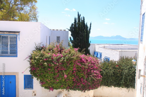Fototapeta Naklejka Na Ścianę i Meble -  maison de Sidi Bou Saïd avec bougainvillier rose