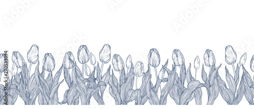 Horizontal graphic vector seamless line pattern with flowers