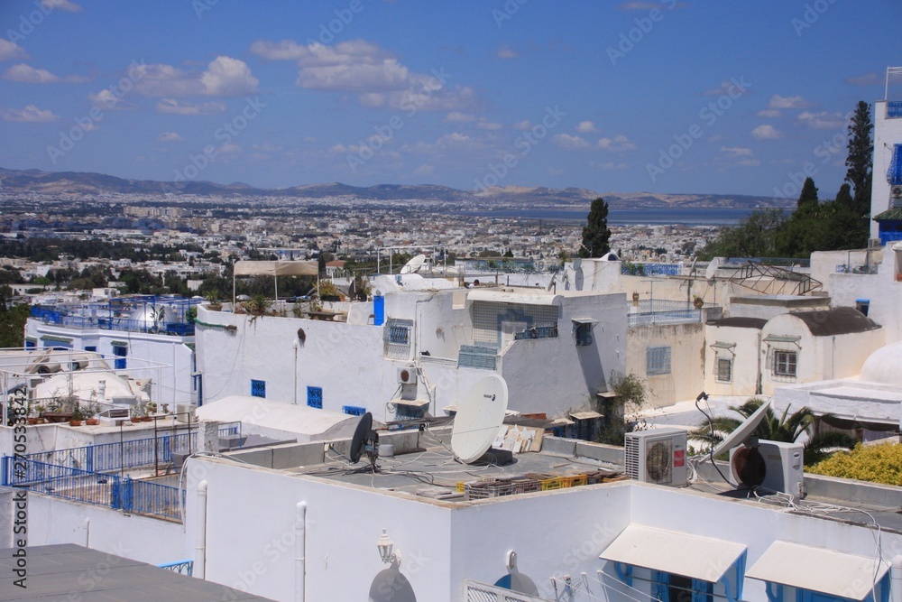 Fototapeta premium vue sur Sidi Bou Saïd