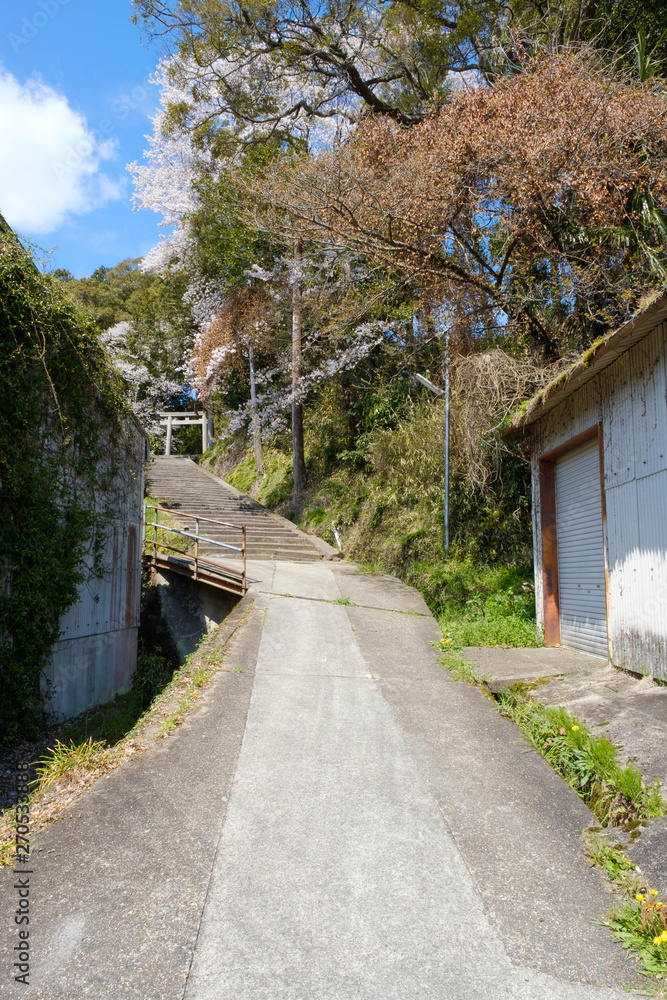 和束天満宮への道　京都　お茶　抹茶　緑茶