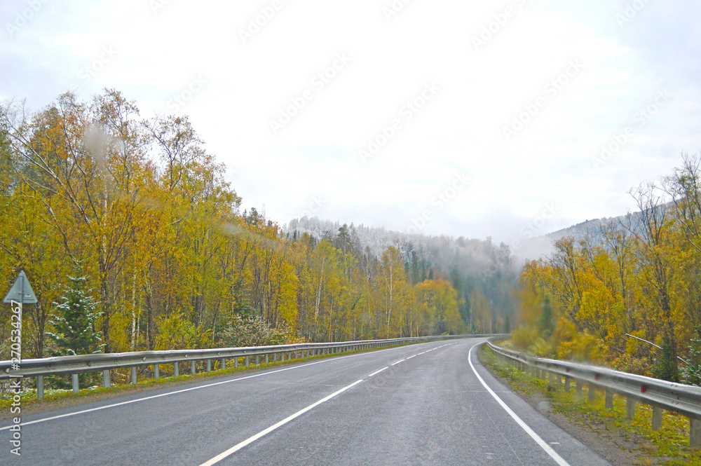 Mountain road passing through the autumn forest. View from the cab of the car.
