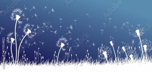 The dandelion Flowers with flying seeds. 