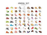 animal set