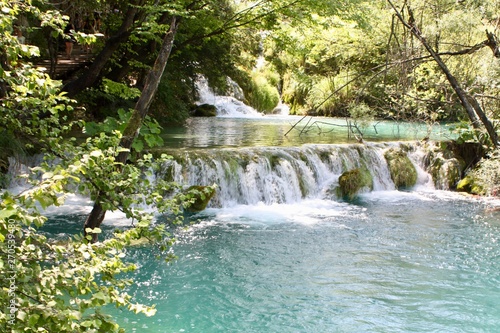 waterfall in the forest