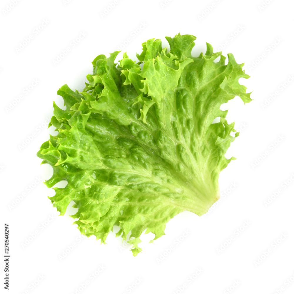 Salad leaf. Lettuce isolated on white background Salad leaf. Lettuce isolated on white background