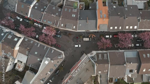 Drone / Aerial top shot of the Cherry Blossom in the city Bonn Kirschbluete in der Heerstraße Breitestraße Bonn  Tourism 25p photo