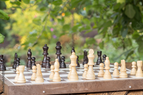 Chess board with chess pieces on desk with branches of apple tree