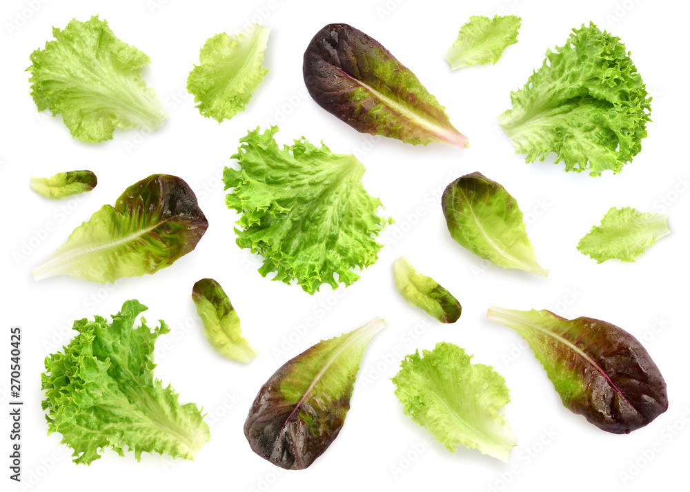 Fresh lettuce leaves isolated on white background. Pattern with salad leaves. - obrazy, fototapety, plakaty 