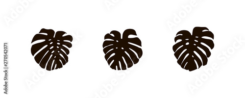 Monstera leaf set, tropical plant leave silhouette, vector summer sign, collection.