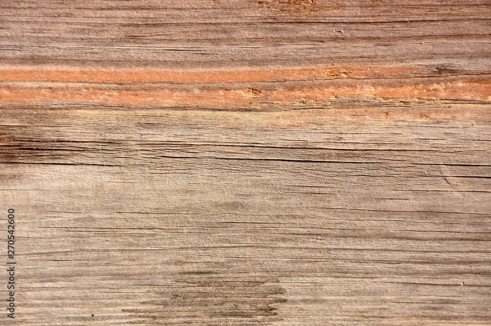 texture wood texture wood