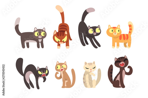 Flat vector set of different cats. Funny cartoon characters. Home pets. Cute domestic animals. Elements for poster, sticker or mobile game