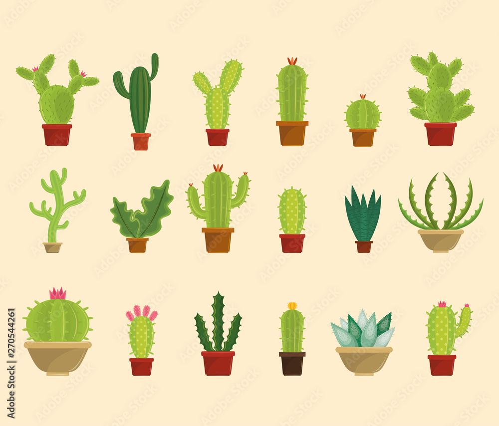 Set of cactus succulents in pots collection Set of cactus succulents in pots collection