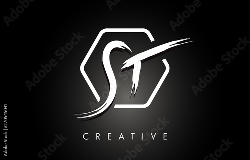 ST S T Brushed Letter Logo Design with Creative Brush Lettering Texture and Hexagonal Shape