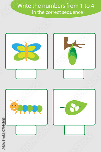 Visual game with life cycle of butterfly pictures for kids, educational task for the development of logical thinking, preschool worksheet activity, write numbers, vector illustration