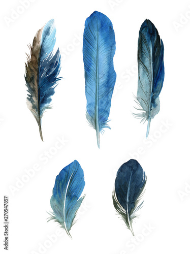 Watercolor feathers on white background. Boho style. Isolated feathers on white background. Illustrations for cards, invitations, posters, fabrics, clothes.